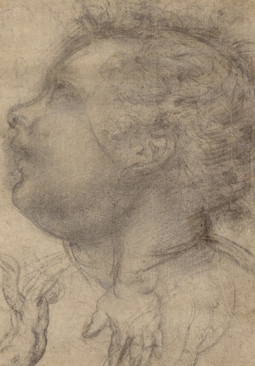 Head of a Child an Angel and a Hand 15101515