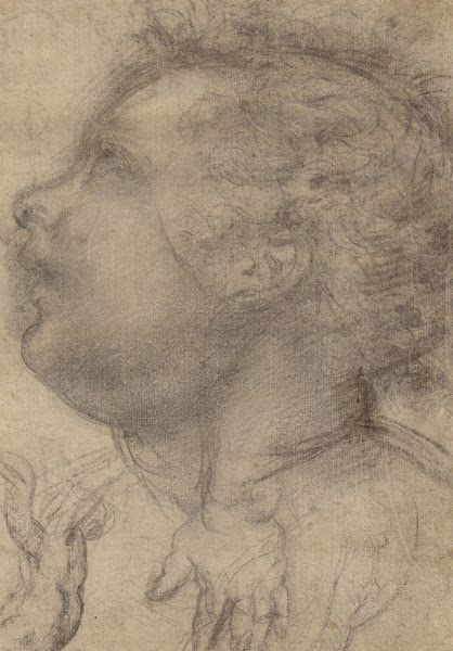 Head of a Child an Angel and a Hand 15101515