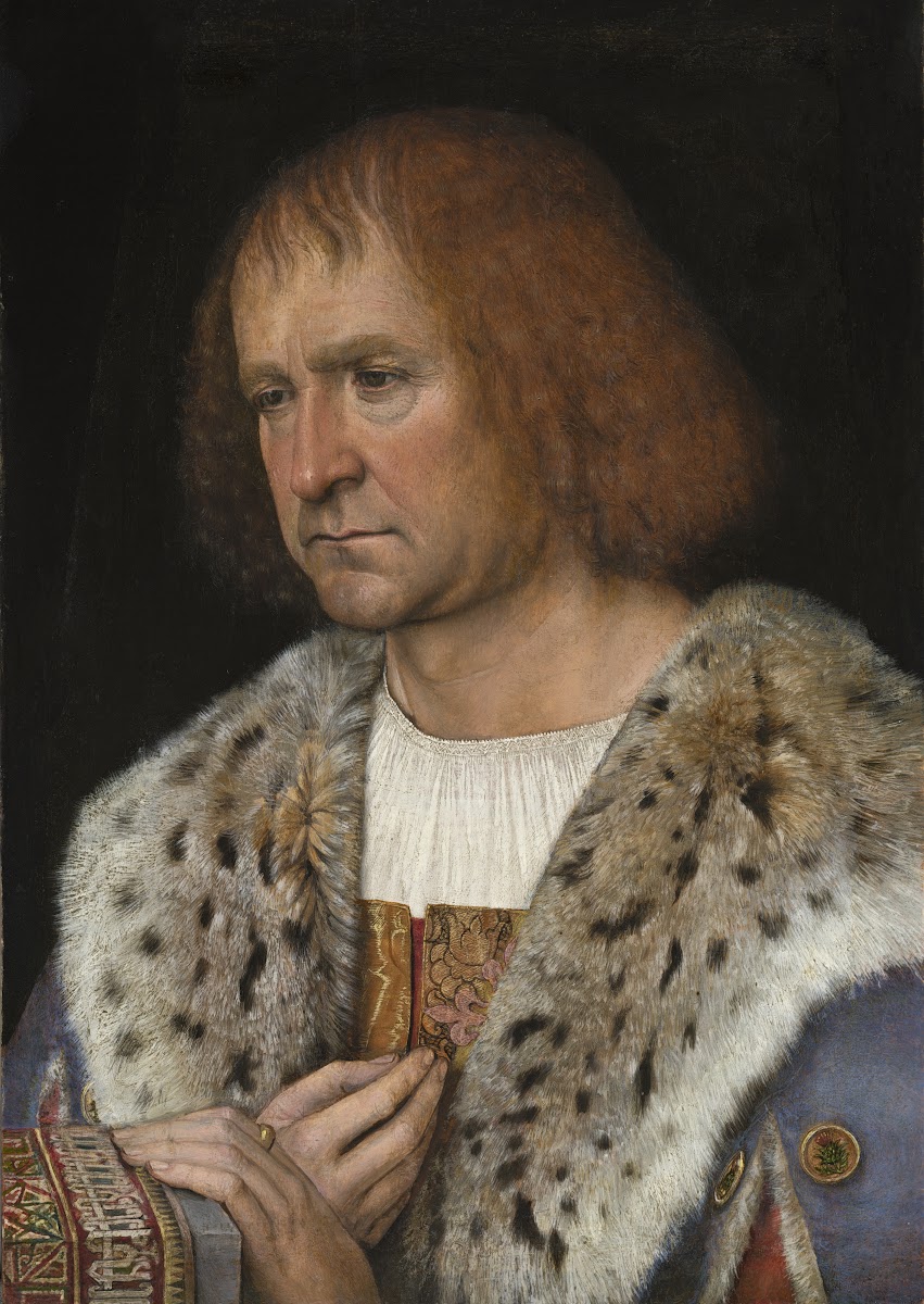 Portrait of Diego de Guevara c 1515 1518