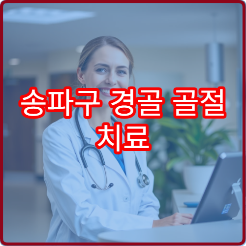 송파구 경골 골절 치료 가능한 전문 정형외과 병원 정보