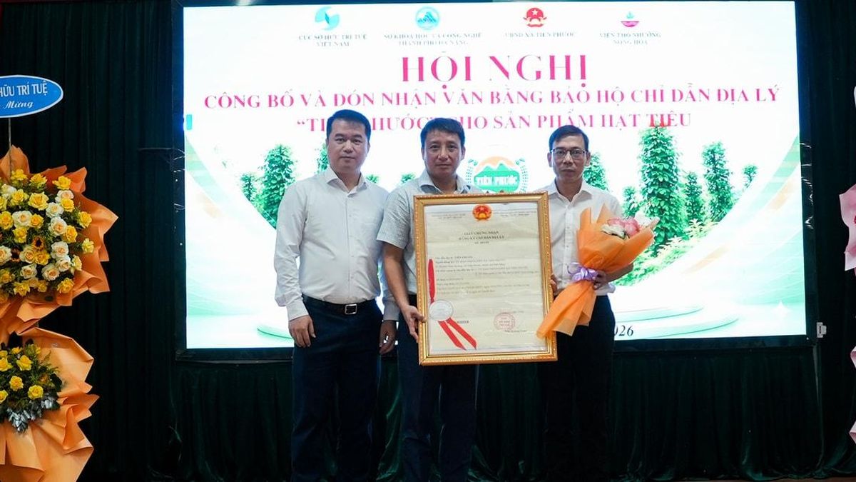 Đà Nẵng: Hạt tiêu Tiên Phước nhận văn bằng bảo hộ chỉ dẫn địa lý - Báo Đà Nẵng