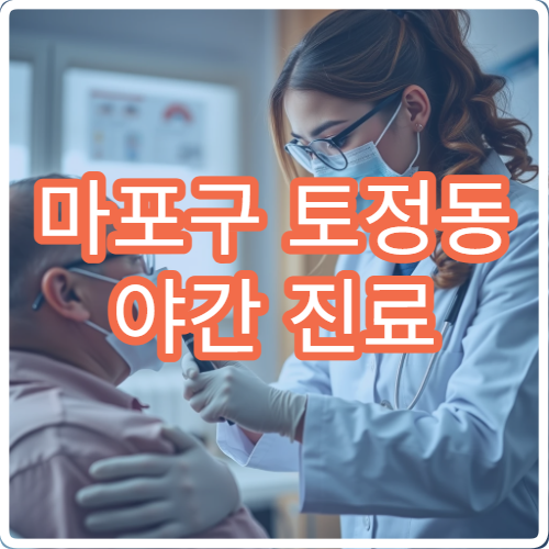 마포구 토정동 야간 진료 가능한 이비인후과 병원 정보
