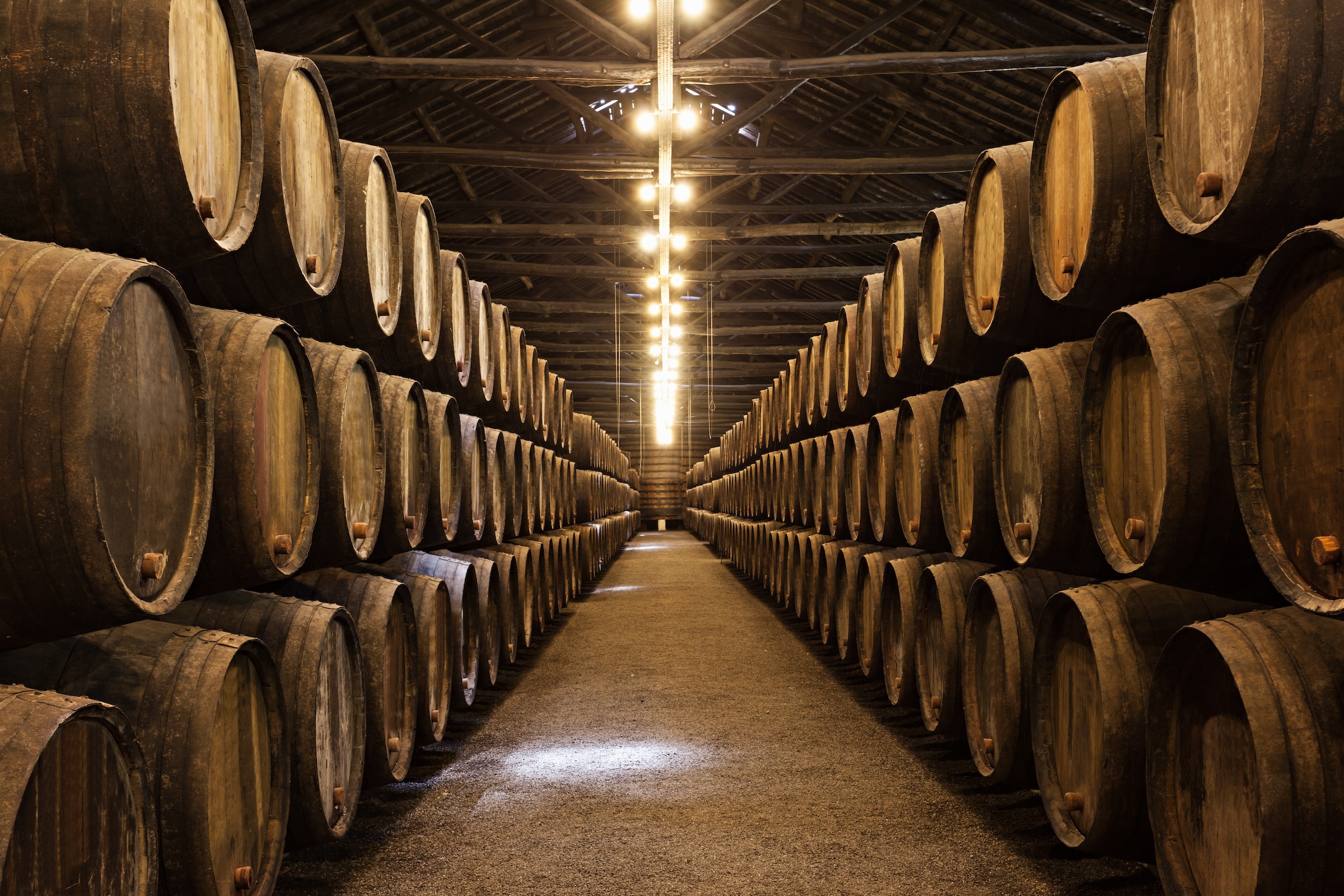 port_wine_tasting_cellar_lisbon_porto