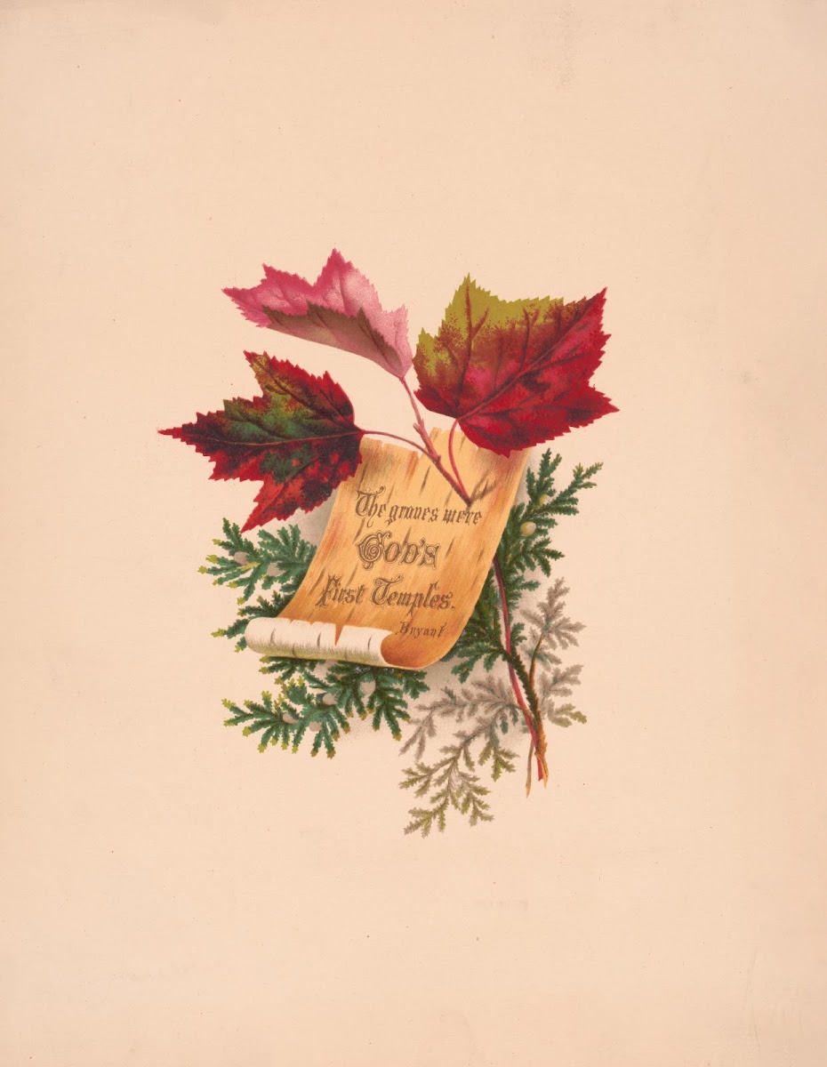 Prangs Floral Mottoes No 27 The Groves Were Gods First Temples 1873