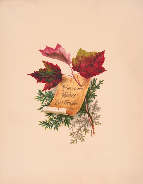 Prangs Floral Mottoes No 27 The Groves Were Gods First Temples 1873