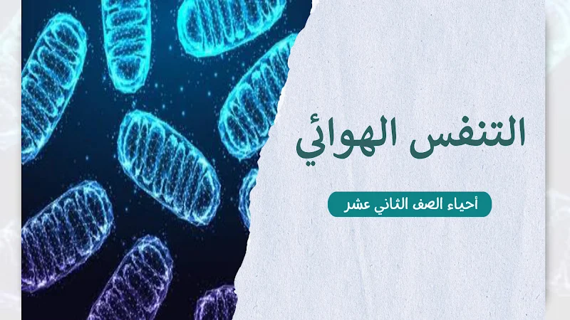 صورة الغلاف