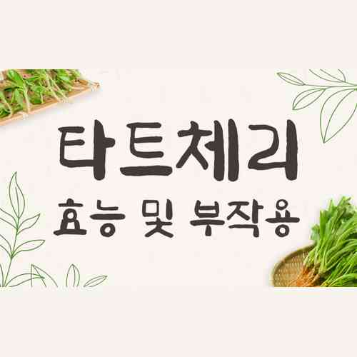타트체리 효능부터 하루 섭취량까지! 부작용 없이 건강하게 먹는 방법