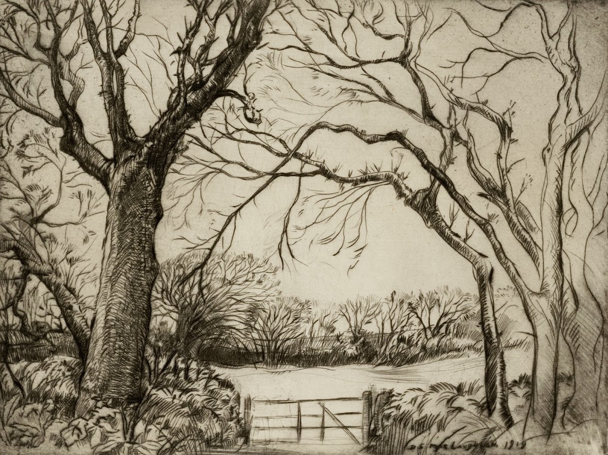 Tragenna Wood