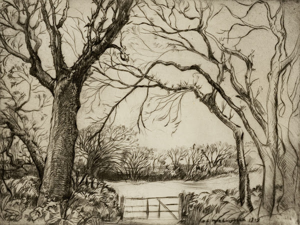 Tragenna Wood