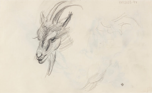 A goat 20th century