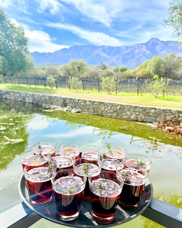 Astro Bodegas: Un Maridaje Perfecto