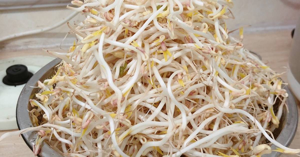 Giá sạch nhà làm ☺️🍀- Giá chân dài