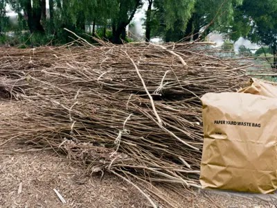 Small branches tied into neat bundles with twine, set out at the curb for Groot landscape waste collection.