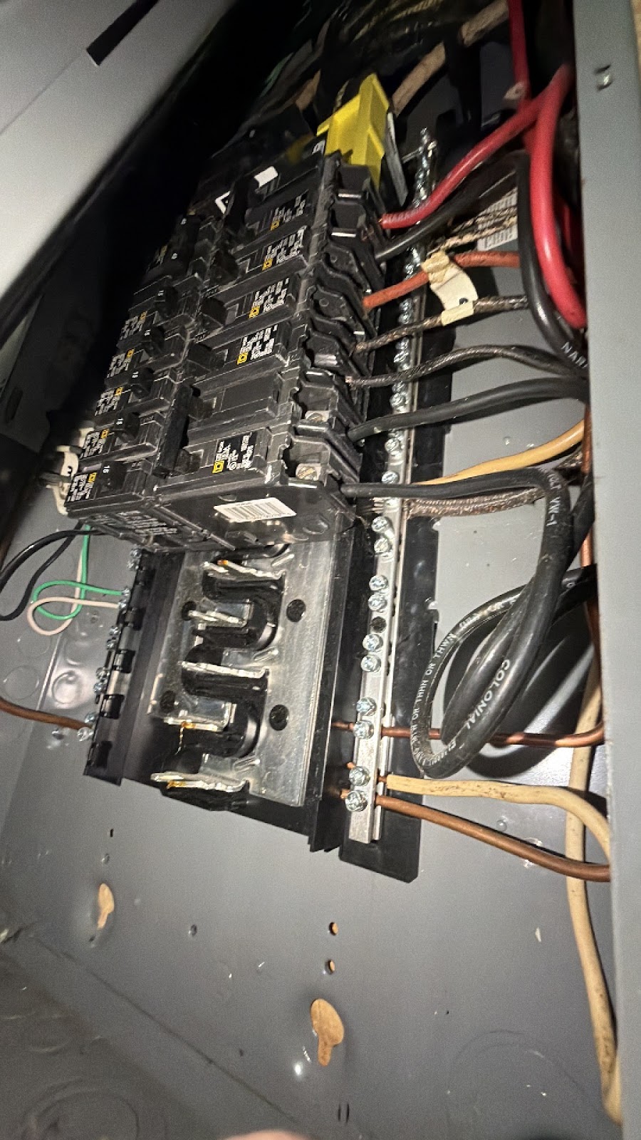 Copy of IMG_2026-03-12_16-32-59_247.jpg