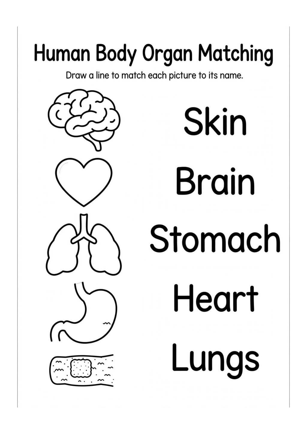 Human Body Organ Matching