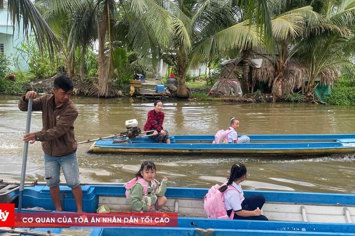 Cà Mau: Người dân khu vực Kinh 3 Chương mòn mỏi chờ đường - Báo Công Lý