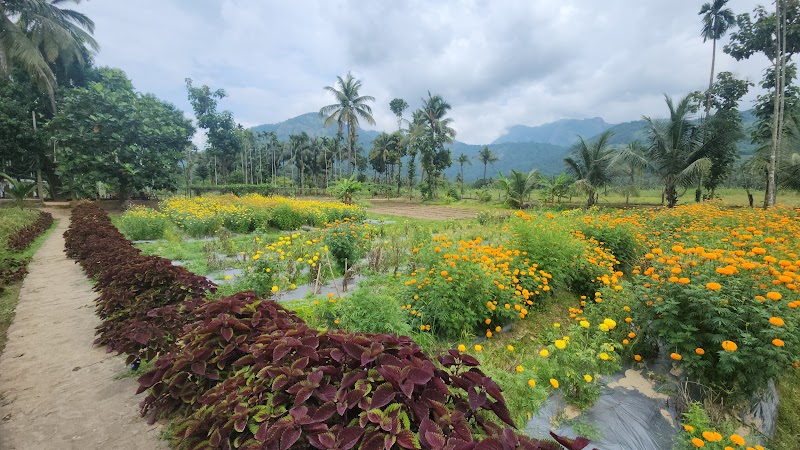 Campus Farm – FARM (1).jpeg