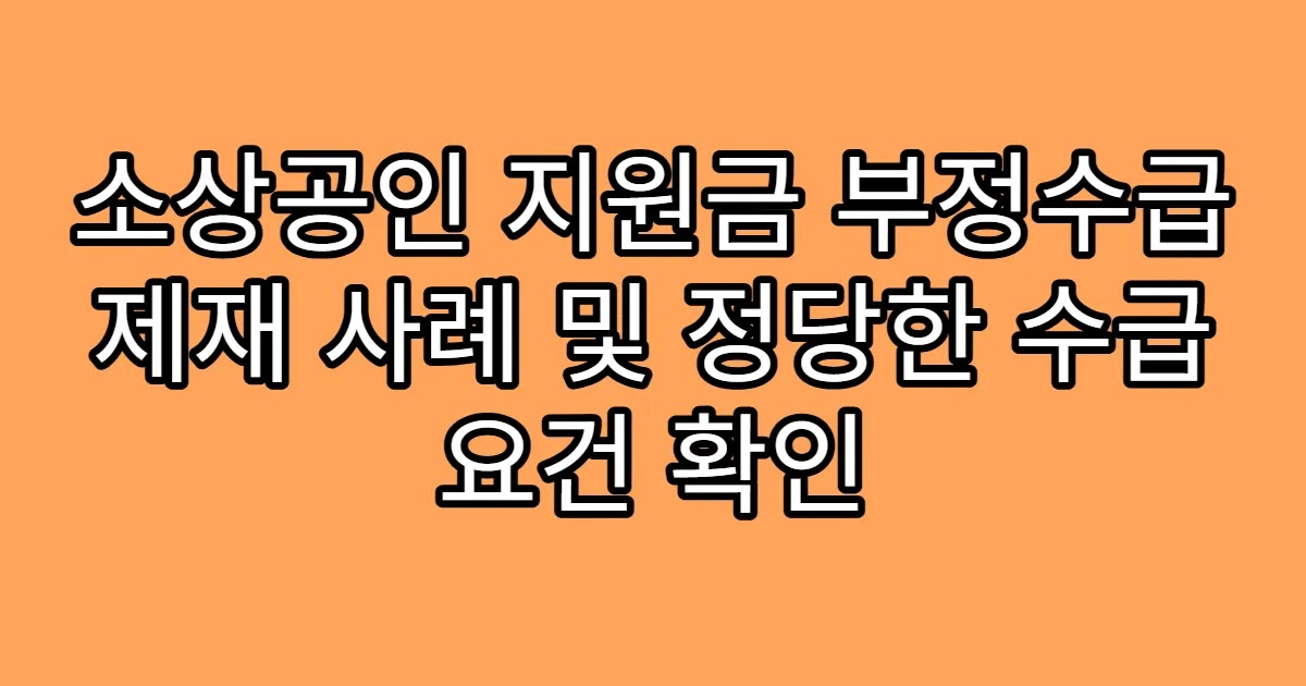 소상공인 지원금 부정수급 제재 사례 및 정당한 수급 요건 확인
