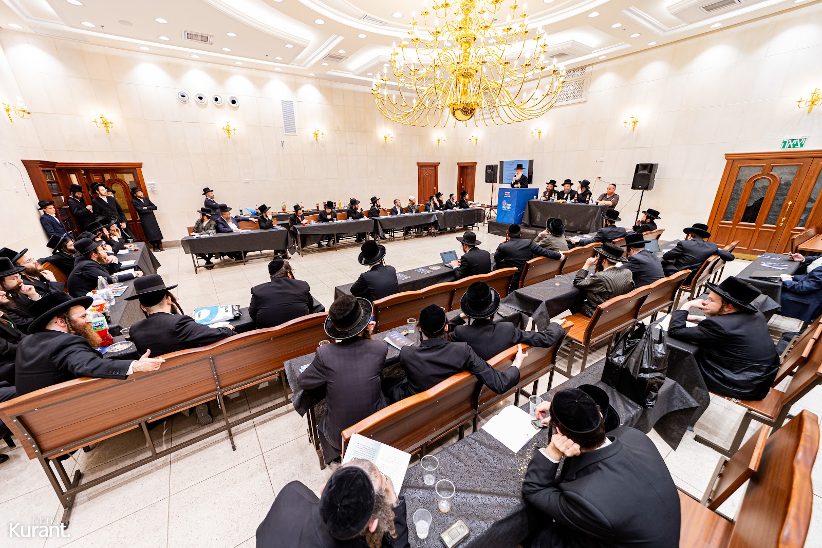 תמונה 10 מהגלריה