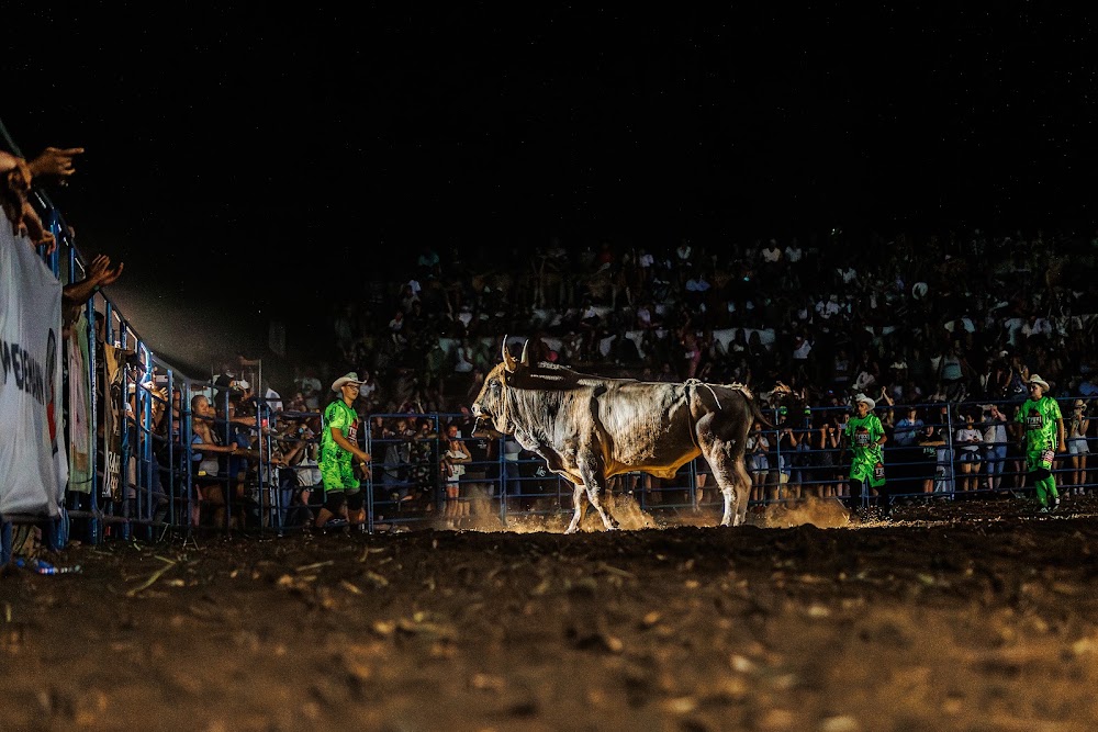 26072025 IMG 5234 2