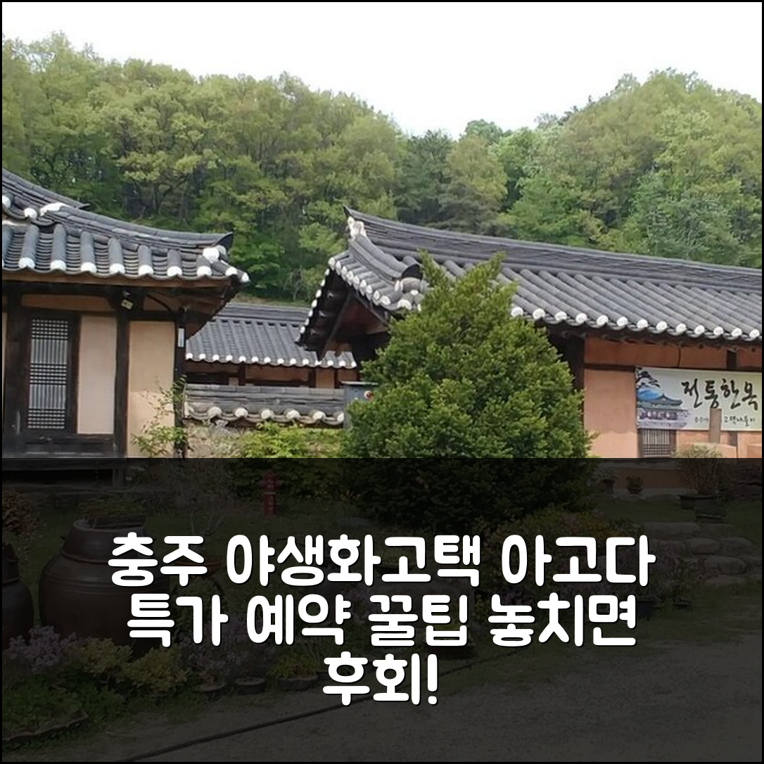 충주 야생화와 고택나들이, 충주 특가 예약 후기 꿀팁! - 아고다 호텔 추천