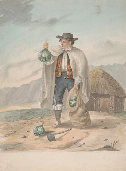 Tenerife Man of Tacoronte 1828