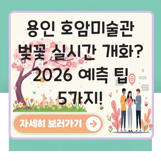 용인 호암미술관 벚꽃 실시간 개화