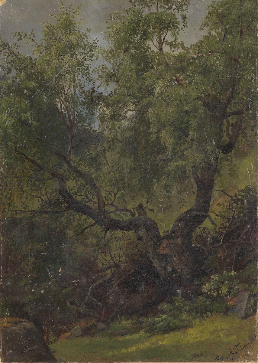 Forest Study from Numedal 1848
