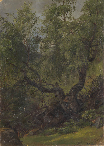 Forest Study from Numedal 1848