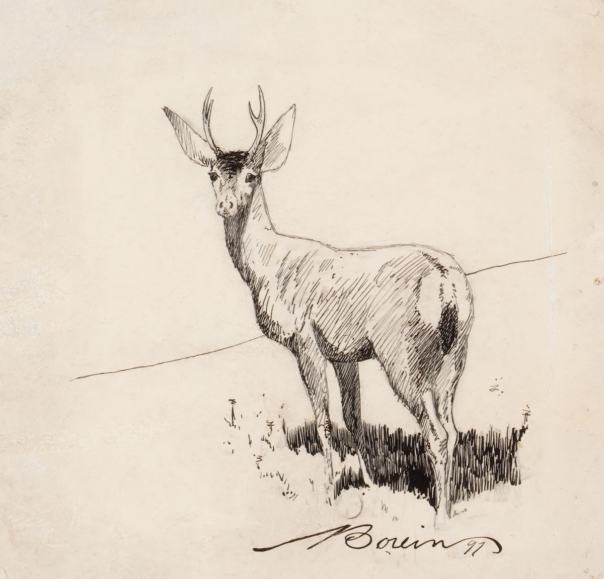 Standing Buck 1897