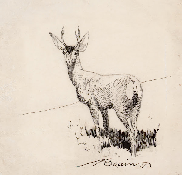 Standing Buck 1897
