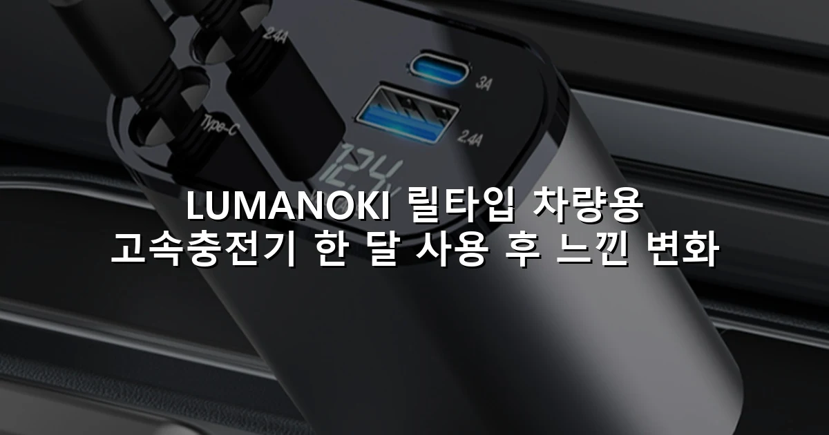 LUMANOKI 릴타입 차량용 고속충전기 한 달 사용 후 느낀 변화