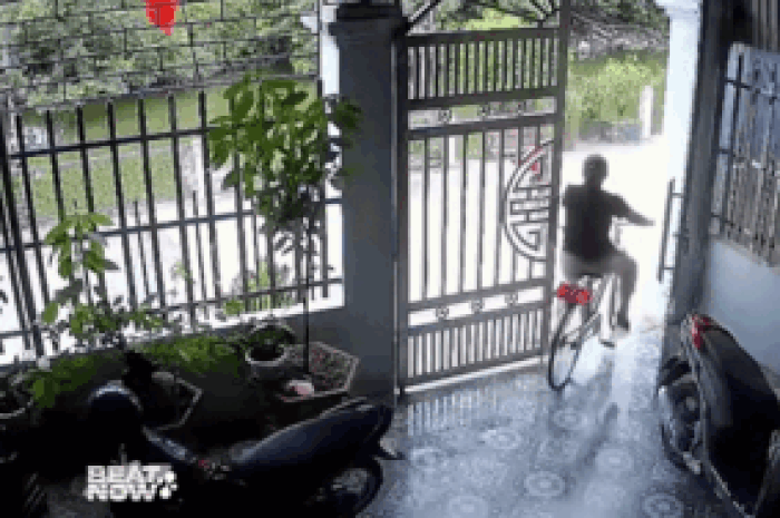 Bé trai đạp xe đạp lao xuống sông, diễn biến tiếp đó khiến dân tình phải phì cười - Tạp chí SaoStar