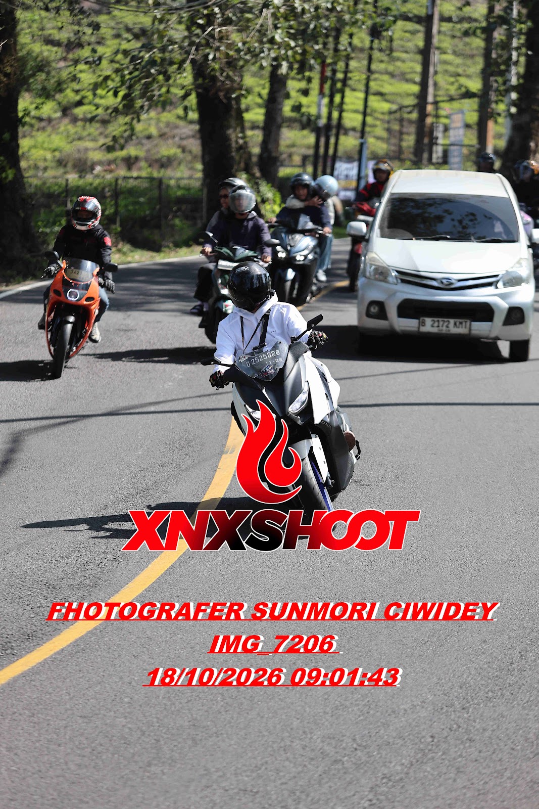 IMG_7206_result.jpg