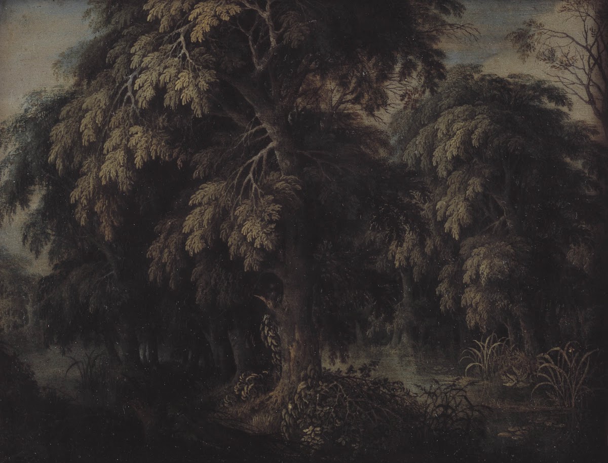 Wooded Landscape 1615  1620