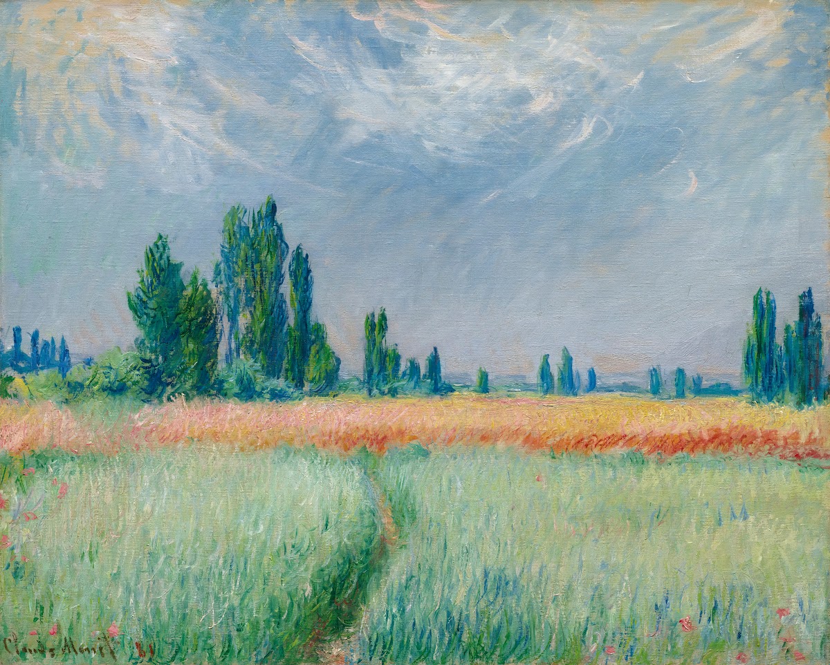 Champ De Blé 1881