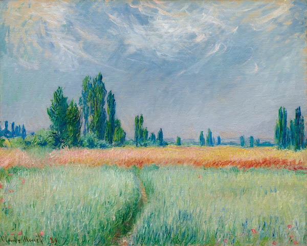 Champ De Blé 1881
