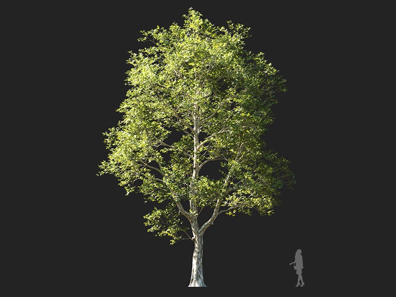Maxtree - Plant Models Vol.132