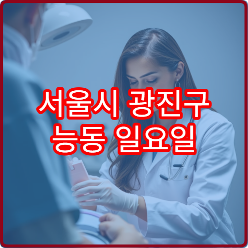 서울시 광진구 능동 일요일 정신건강의학과 진료 병원 안내 주말 정신과 진료 병원 찾기