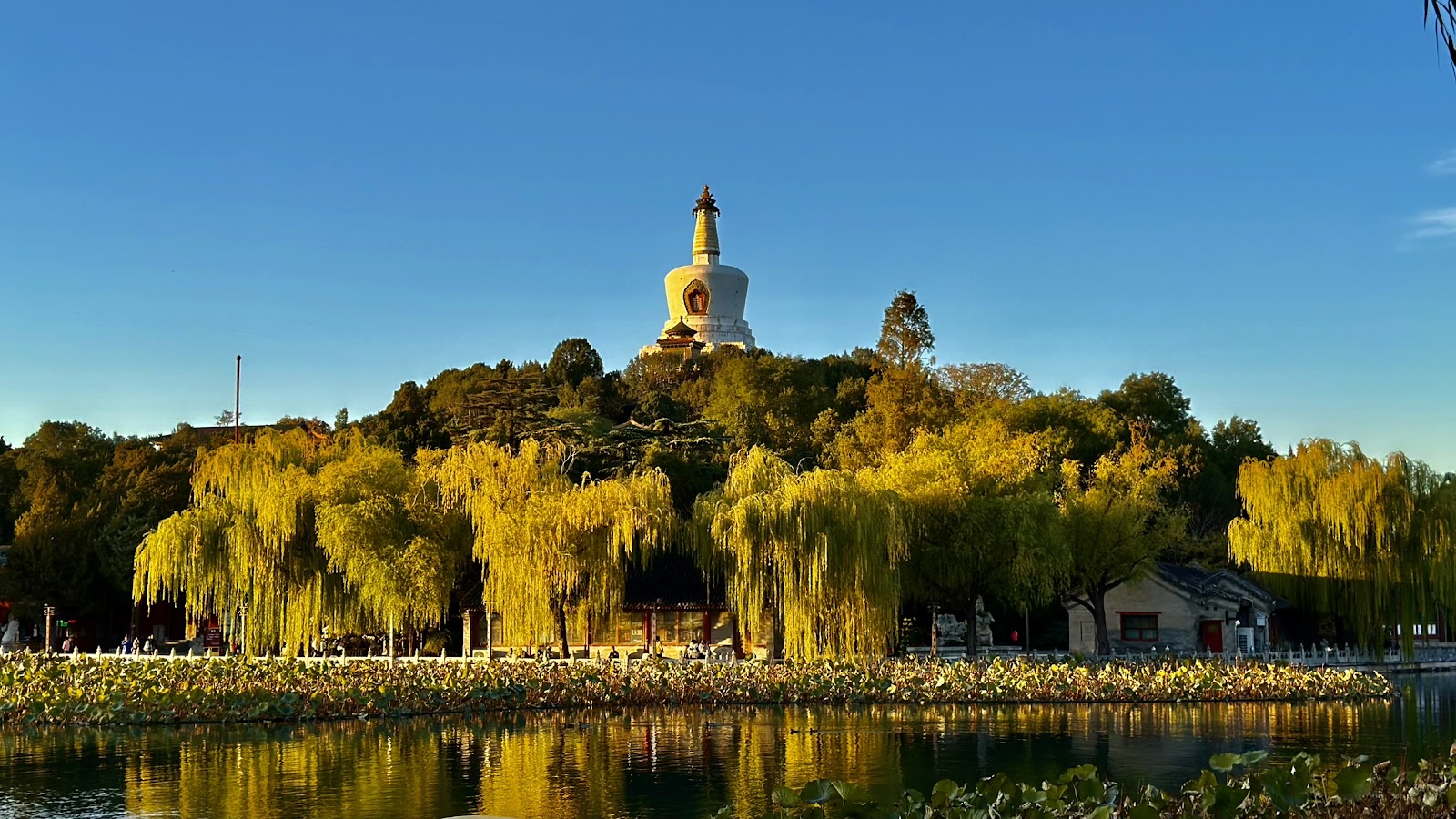 Pagoda blanca en Beihai Park