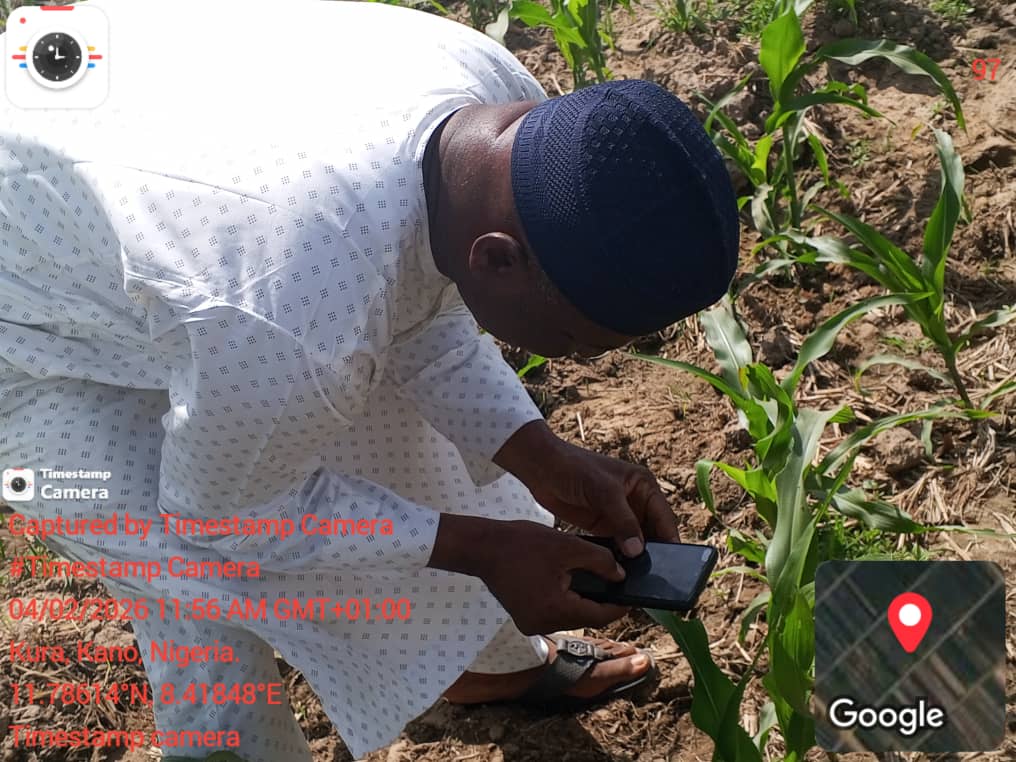 Kaduna & Kano deployment — participants