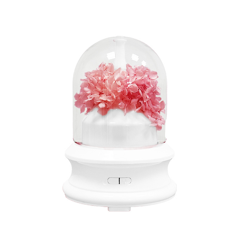 Aroma diffuser with LED light and spray function