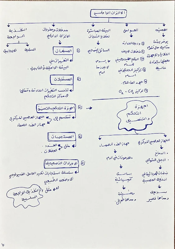 صورة الغلاف