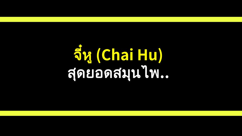 จี๋หู (Chai Hu) สุดยอดสมุนไพรเพื่อสุขภาพลำไส้ ความดันโลหิต และตับ!