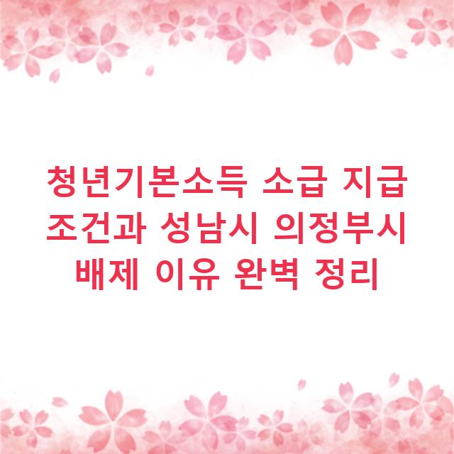 청년기본소득 소급 지급 조건과 성남시 의정부시 배제 이유 완벽 정리