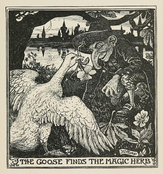 The Goose fnds the Magic Herb 1906