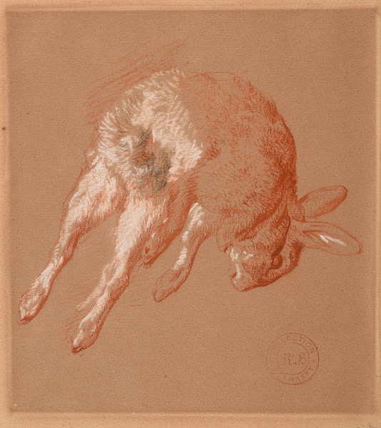 Lapin