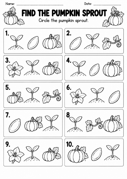 Pumpkin Sprout Recognition Worksheet