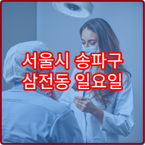 서울시 송파구 삼전동 일요일 산부인과 진료 병원 여성 질환