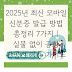 2025년 최신 모바일 신분증 발급 방법 총정리 7가지 | 실물 없이 공항 관공서 이용 가이드